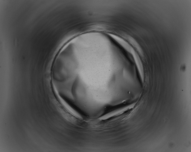 X0000101171435200807181412