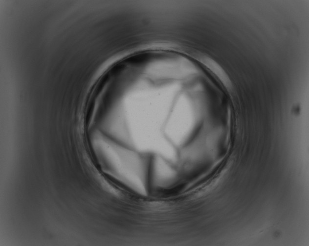 X0000101171436200807181412