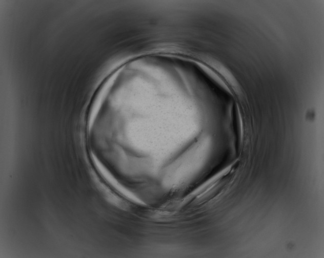 X0000101171439200807181412