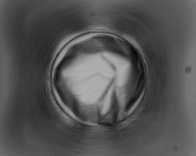 X0000101171440200807181412