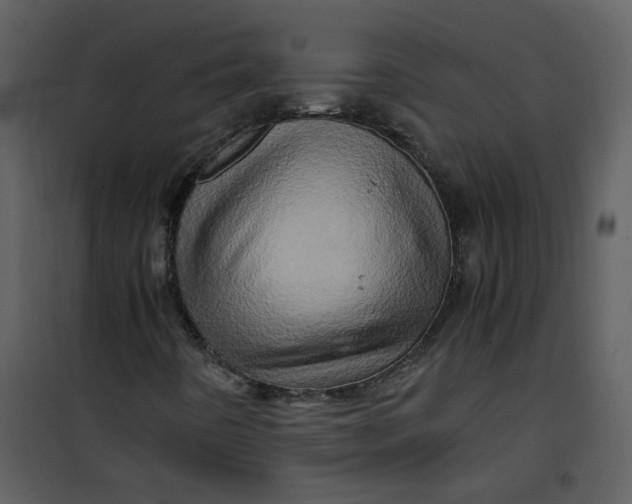 X0000101171442200807181411