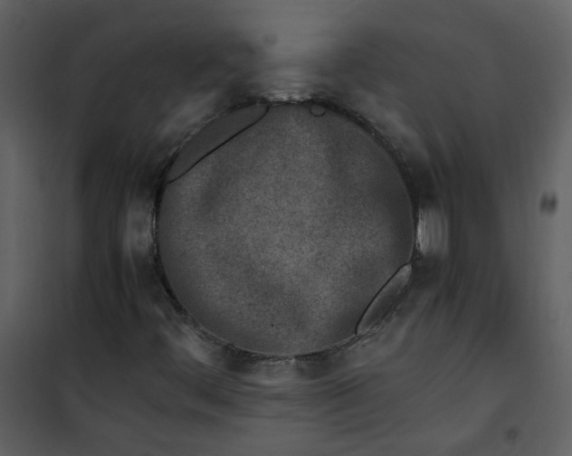 X0000101171444200807181411