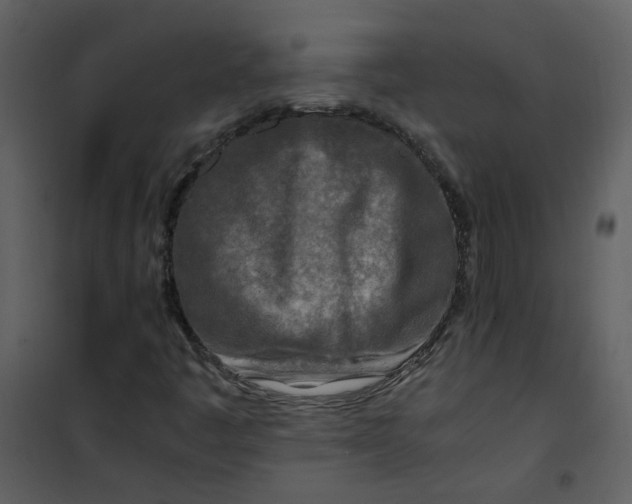 X0000101171445200807181411