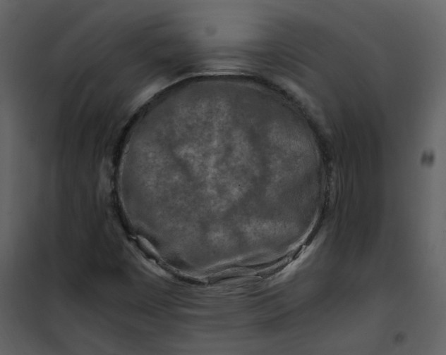 X0000101171449200807181411