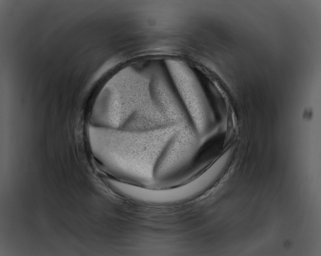 X0000101171450200807181411
