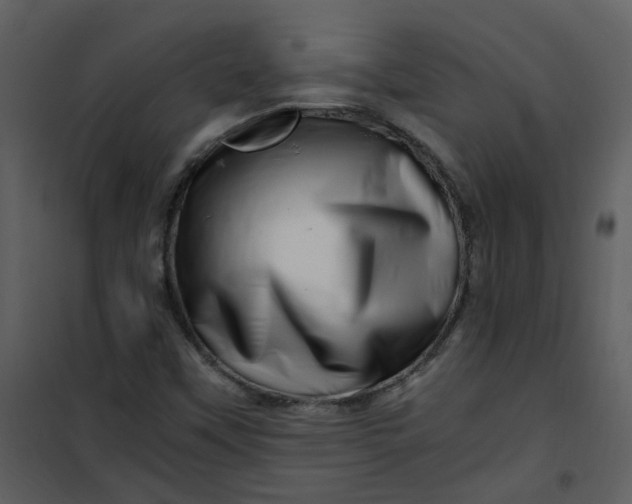 X0000101171451200807181411