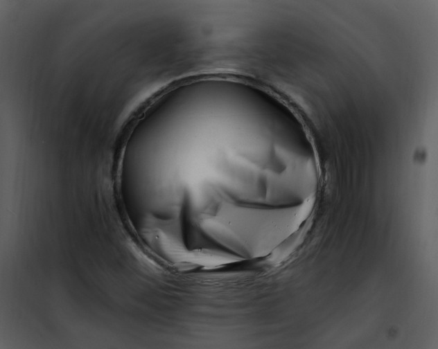 X0000101171452200807181411