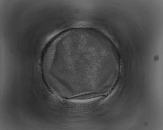 X0000101171453200807181411