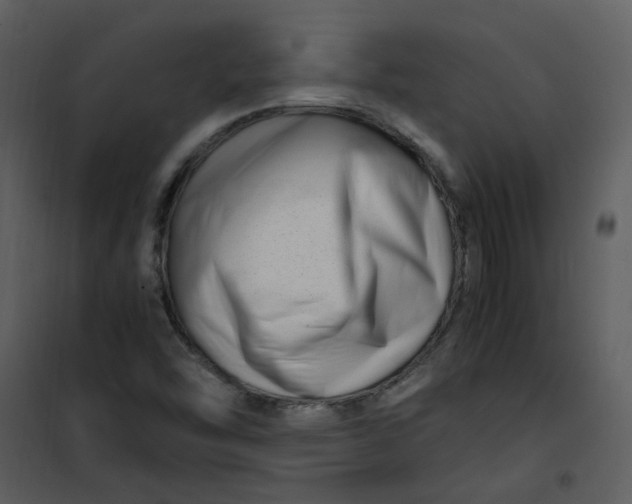 X0000101171454200807181411