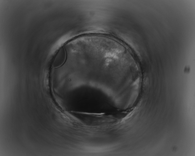 X0000101171455200807181411
