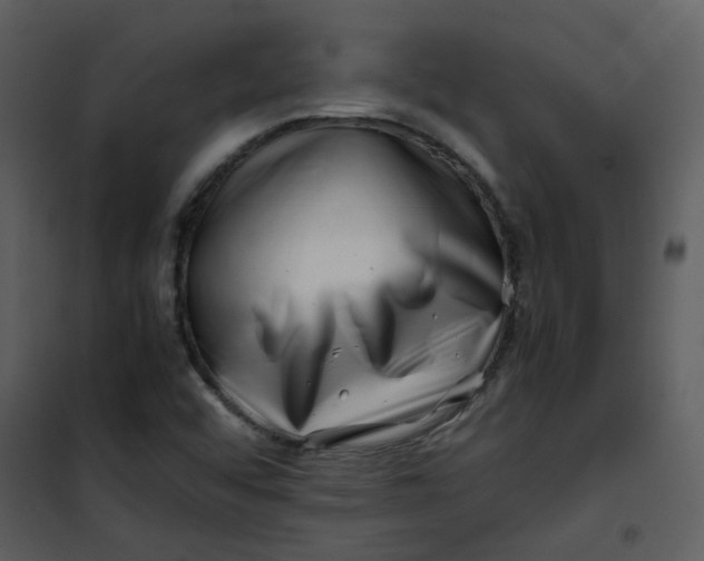 X0000101171456200807181411