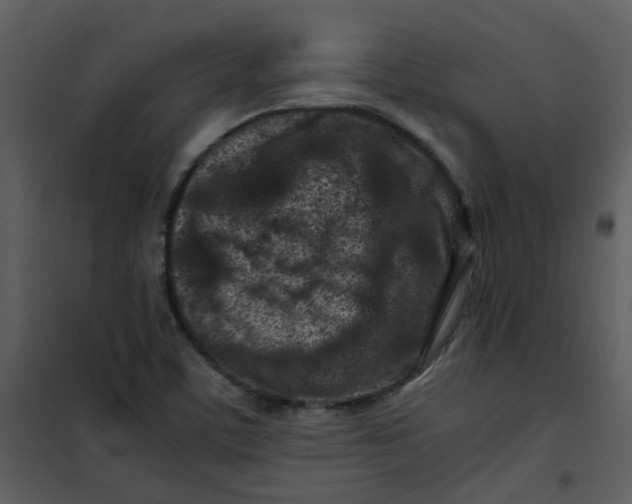 X0000101171459200807181411