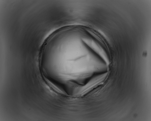 X0000101171460200807181411