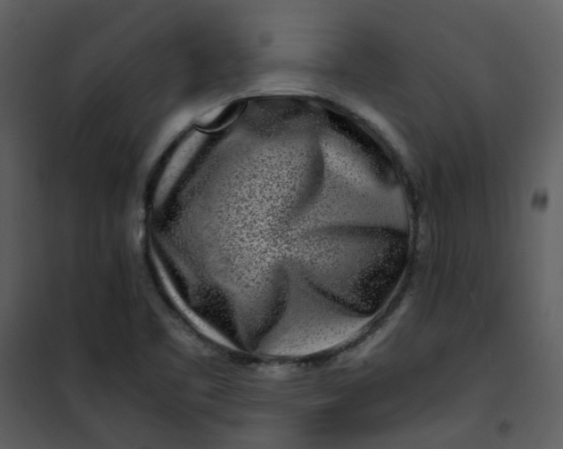 X0000101171461200807181411