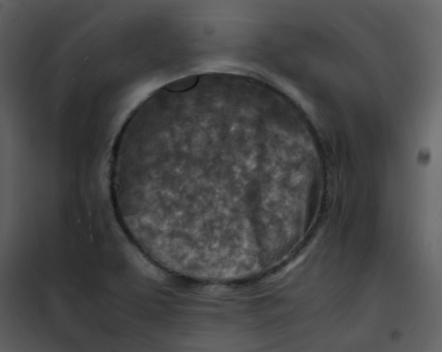 X0000101171463200807181411