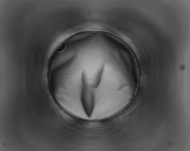 X0000101171464200807181411