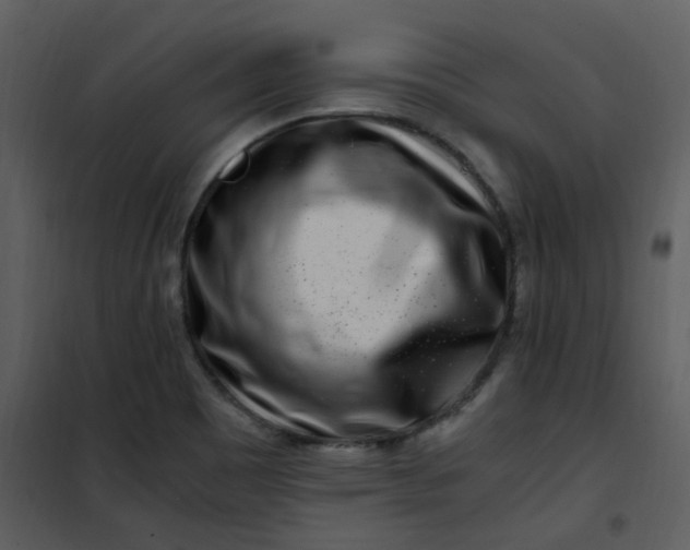 X0000101171465200807181411