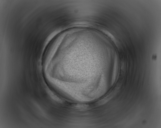 X0000101171466200807181411