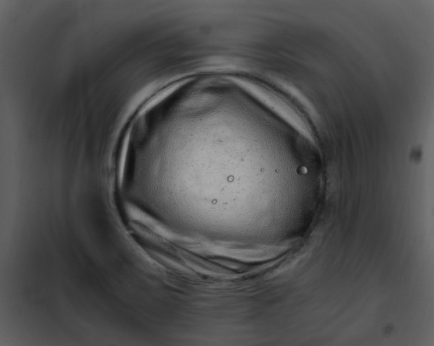 X0000101171467200807181411