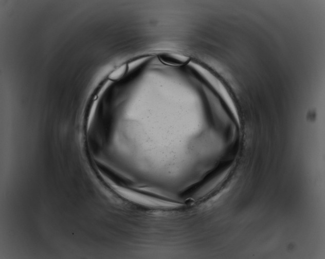 X0000101171469200807181411