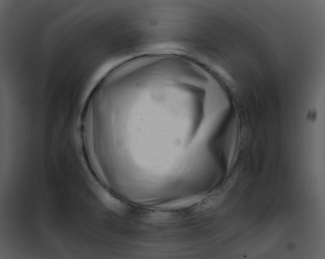 X0000101171470200807181411