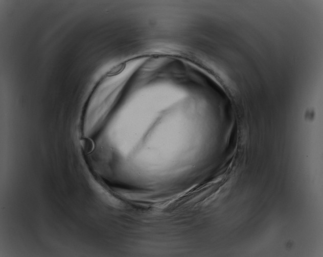 X0000101171471200807181411