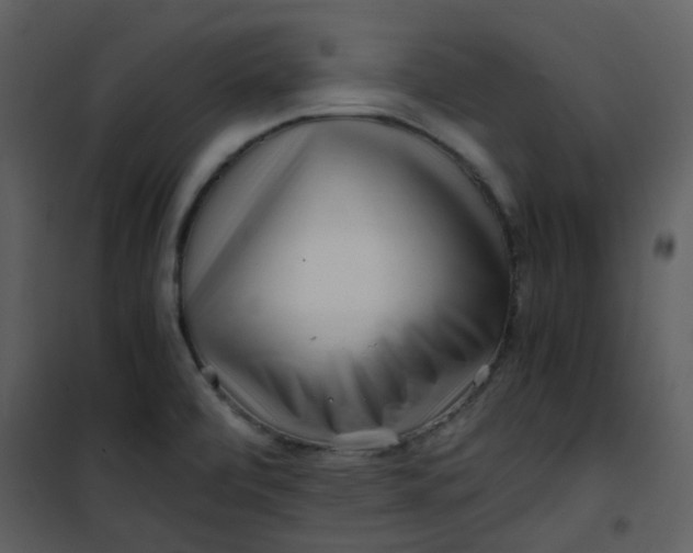 X0000101171472200807181411