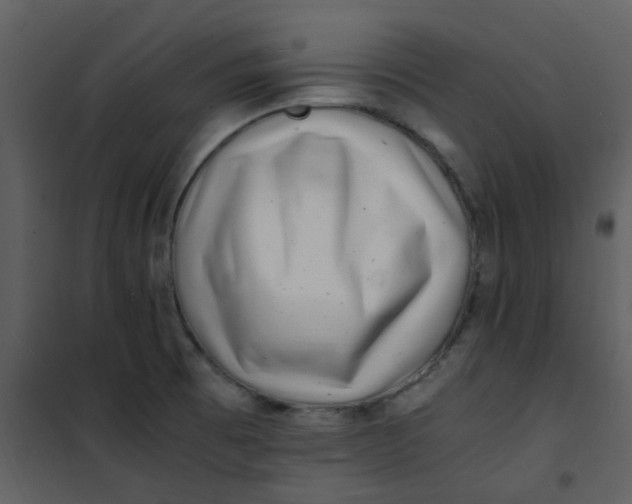 X0000101171473200807181411