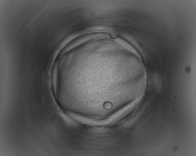 X0000101171474200807181411
