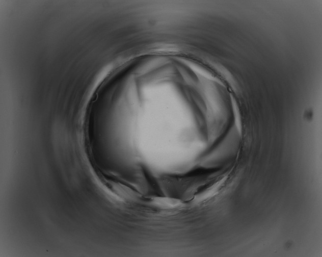 X0000101171475200807181411