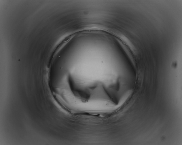 X0000101171476200807181411