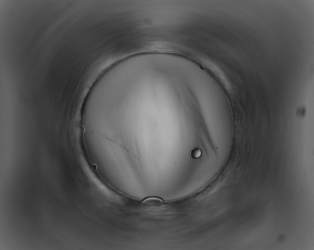 X0000101171479200807181411