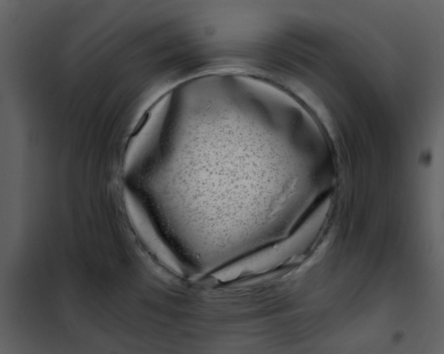 X0000101171481200807181411