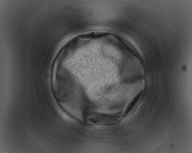 X0000101171482200807181411