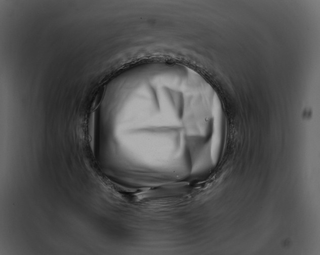 X0000101171490200807181410