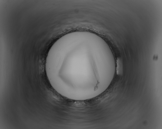 X0000101171491200807181410
