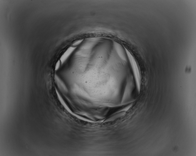 X0000101171493200807181410