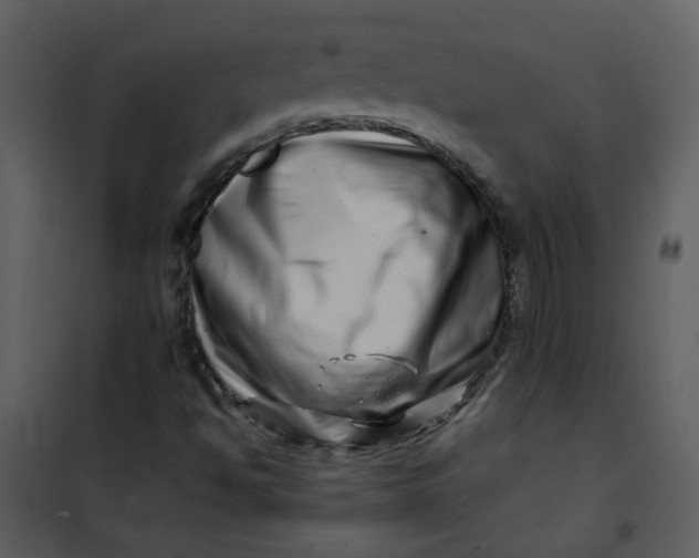 X0000101171494200807181410