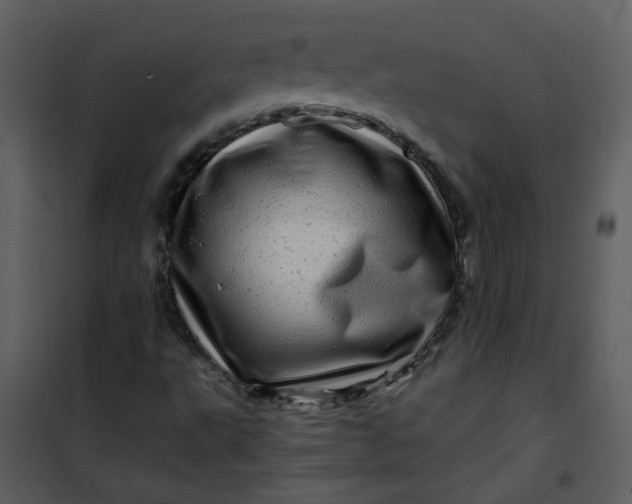 X0000101171495200807181410