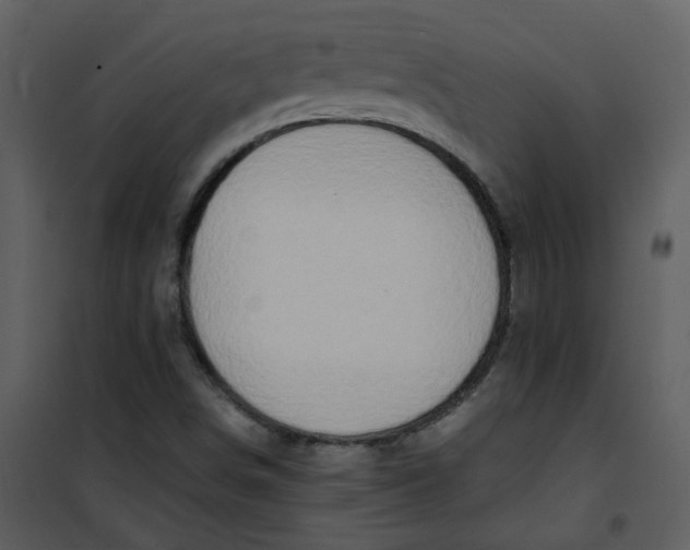 X0000101171498200807181410