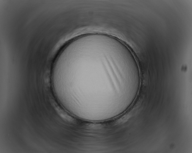 X0000101171499200807181410
