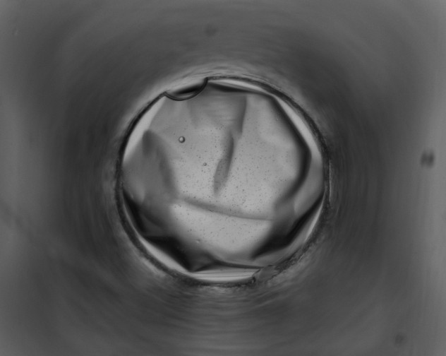 X0000101171500200807181410