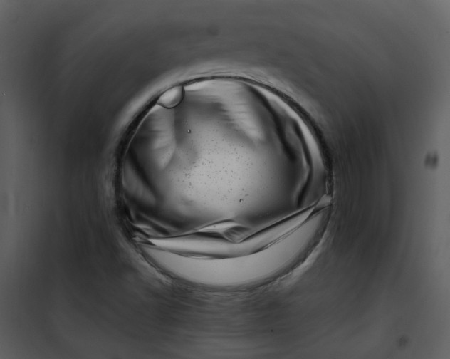 X0000101171502200807181410