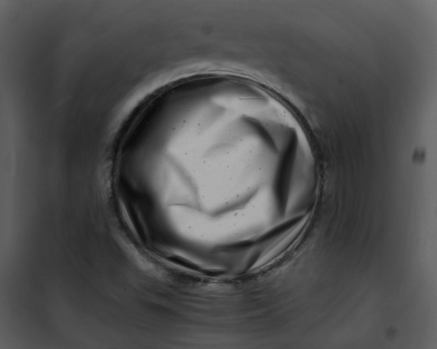 X0000101171503200807181410