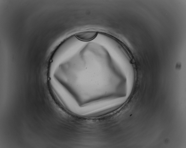 X0000101171504200807181410