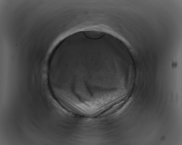 X0000101171506200807181410
