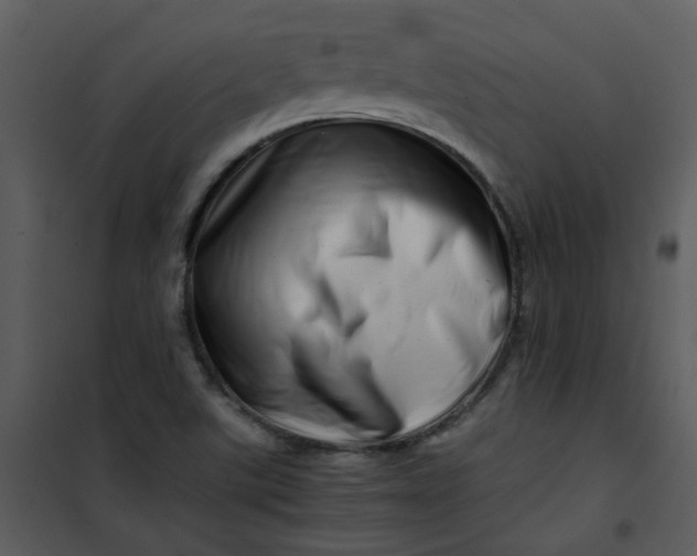 X0000101171507200807181410