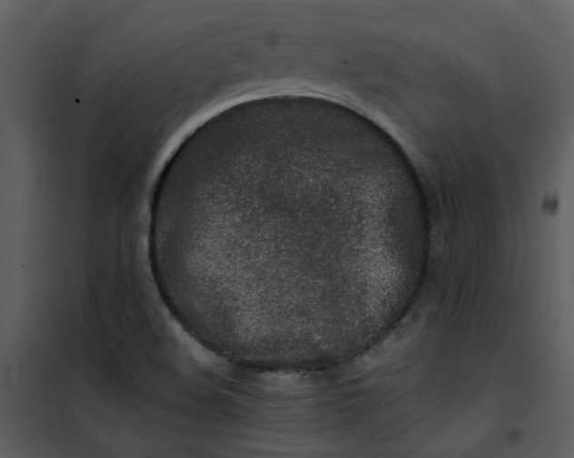 X0000101171508200807181410
