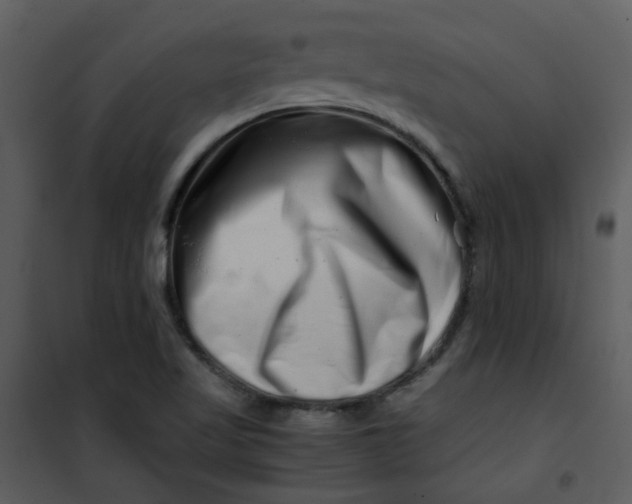 X0000101171509200807181410