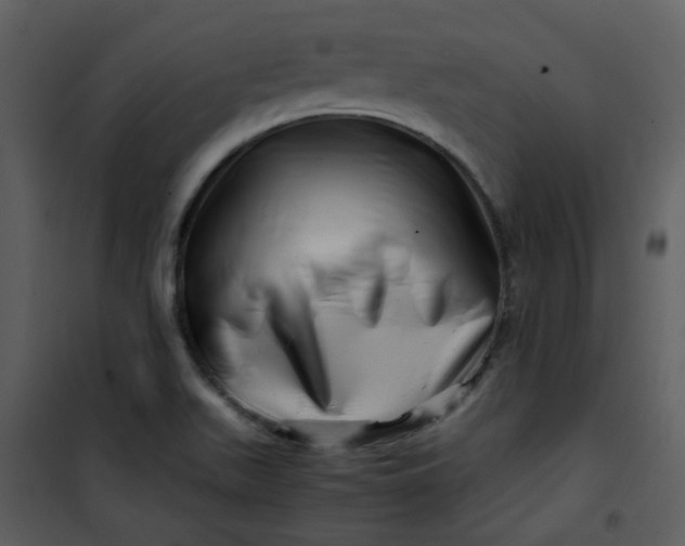 X0000101171511200807181410
